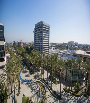anaheim 1