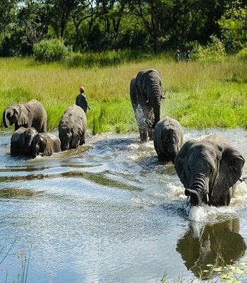 harare 2